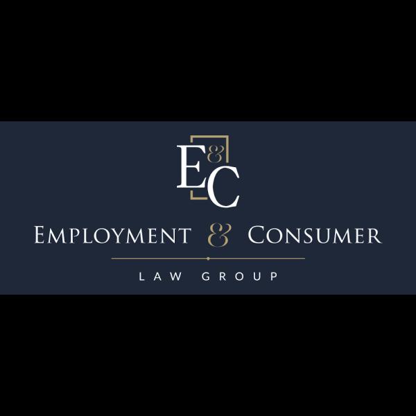 Employment and Commerce Law Group