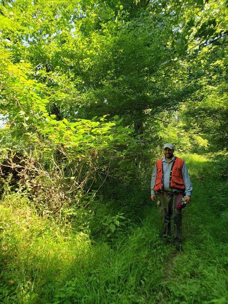 Clum-Daisher Forestry Consultants