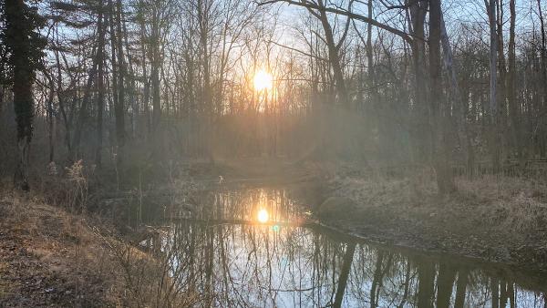 Rhys Brendan Cartwright-Jones