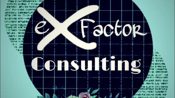 Ex Factor Consulting Group