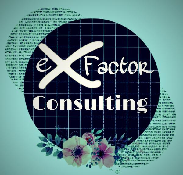 Ex Factor Consulting Group