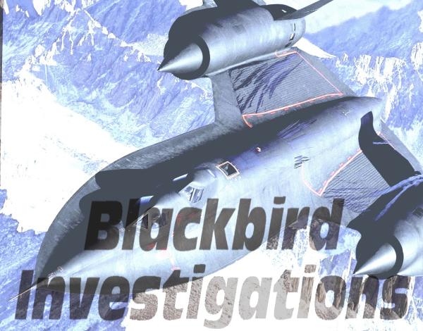 Blackbird Investigations