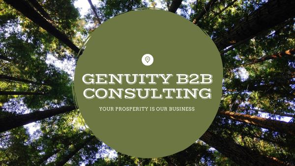 Genuity B2B