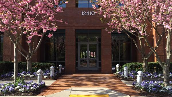 V-Project Management Consulting