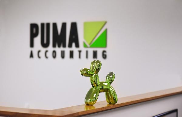 Puma Accounting