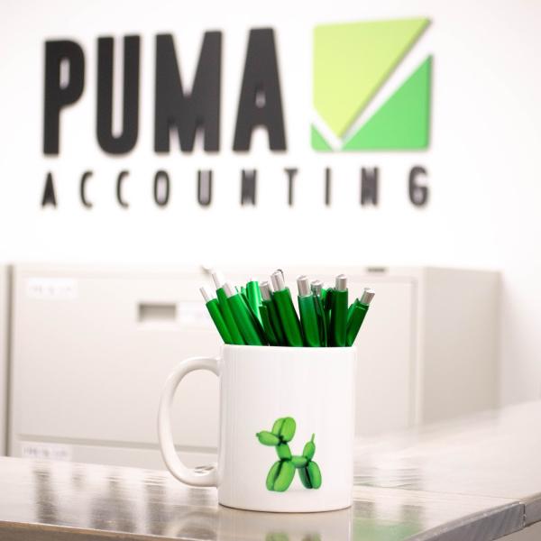 Puma Accounting