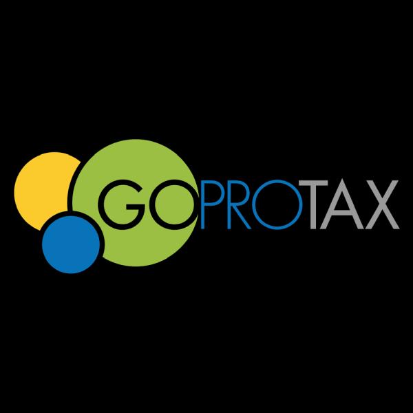 Go Pro Tax