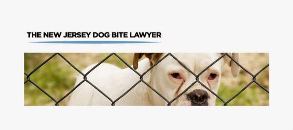 The New Jersey Dog Bite Lawyer