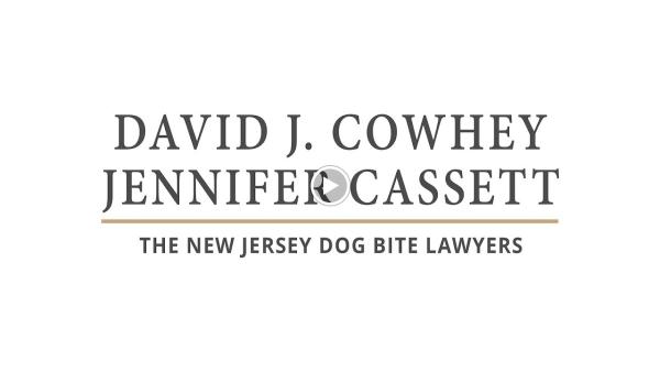 The New Jersey Dog Bite Lawyer