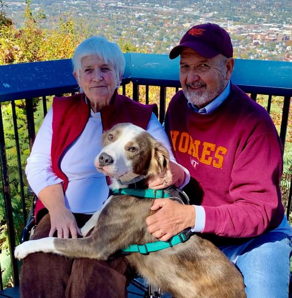 Martin Wealth Solutions