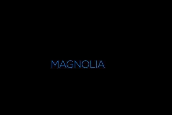 Magnolia Tax Services