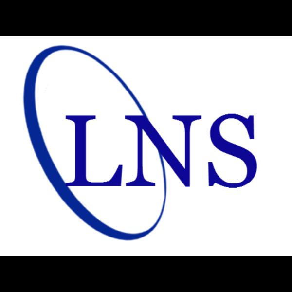 LNS Bookkeeping & Tax Preparation Service