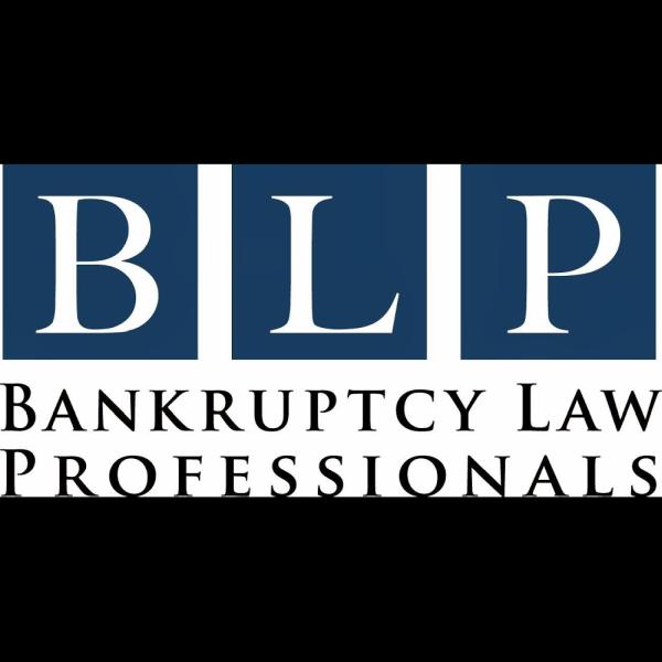 Bankruptcy Law Professionals