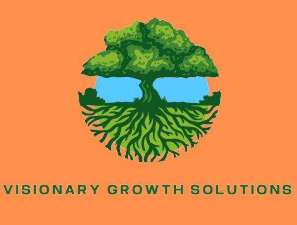 Visionary Growth Solutions