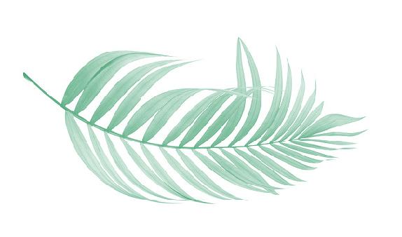 Absolute Business Solutions