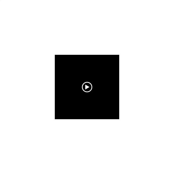 True Lies Investigations