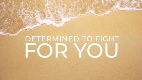 Law Offices of Steve Cedillos