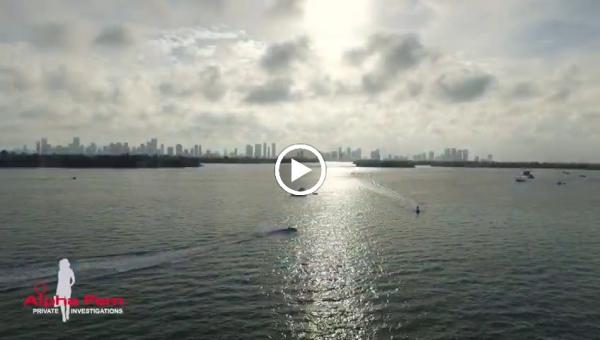 Valdes Investigation Group - Private Investigator in Miami