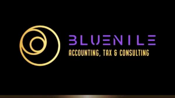 Blue Nile Accounting, Tax & Consulting