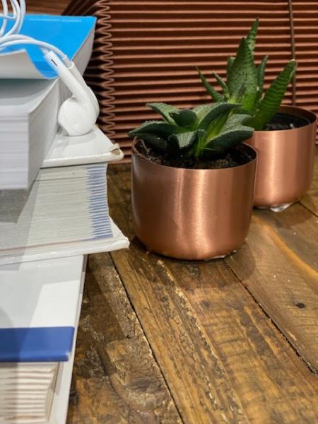 C&P Business Solutions