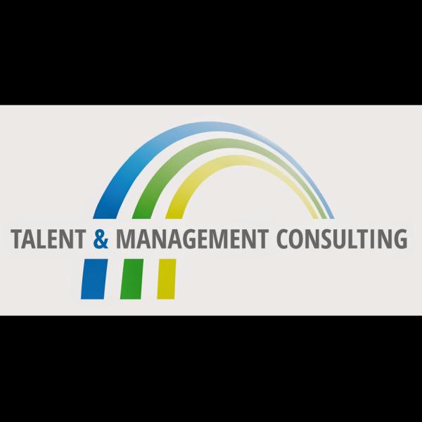 Talent and Management Consulting