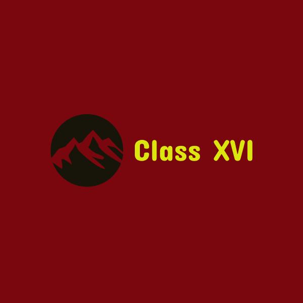 Class XVI