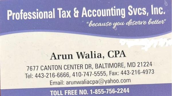 Professional Tax & Accounting Svcs