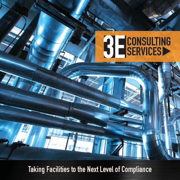 3E Consulting Services