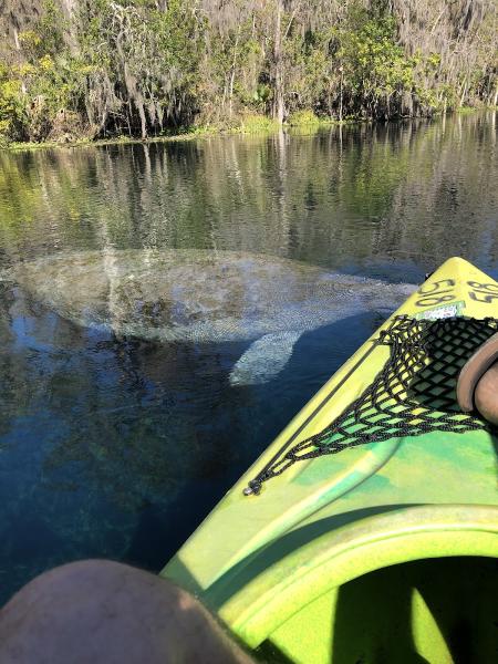 Millhorn & Shanawany Law Firm