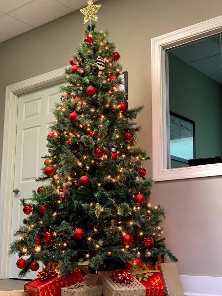 The Carolina Law Group