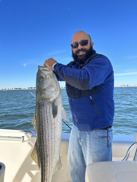 Law Office of David A. Adhami