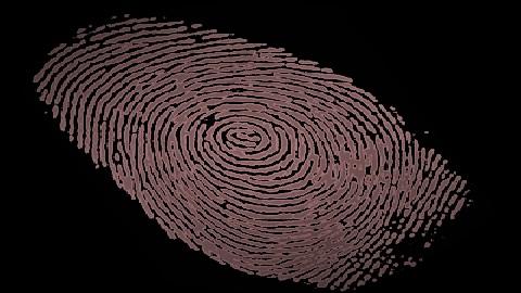 Claims Investigation Agency