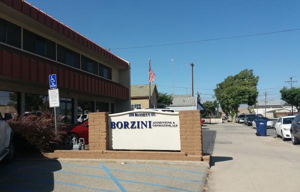 Borzini Accounting & Consulting