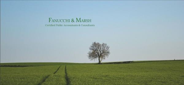 Fanucchi & Marsh Cpa's
