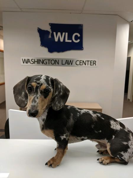 Washington Law Center