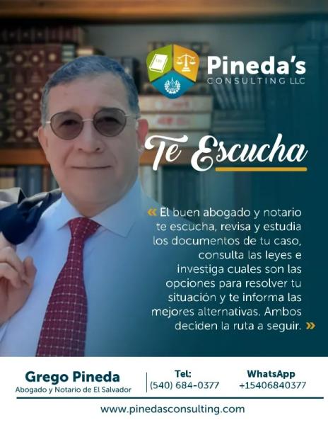 Pineda´s Consulting