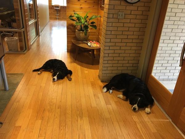 Knies, Helland & McPherson Law