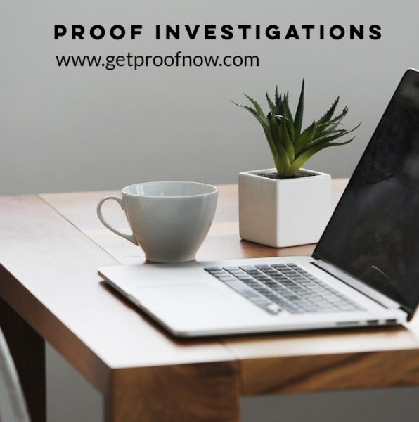 Proof Investigations