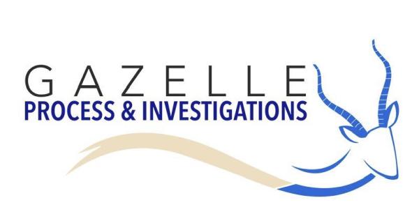 Gazelle Process & Investigations