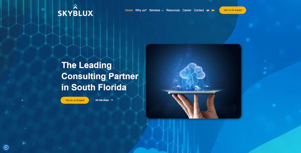 Skyblux - Salesforce and Cloud Consultants