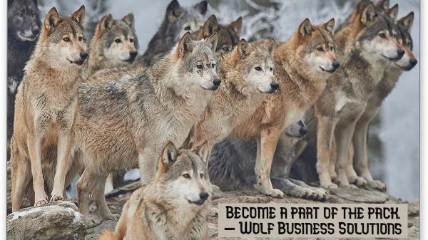 Wolf Business Solutions