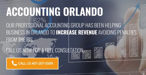 Professional Accounting Group