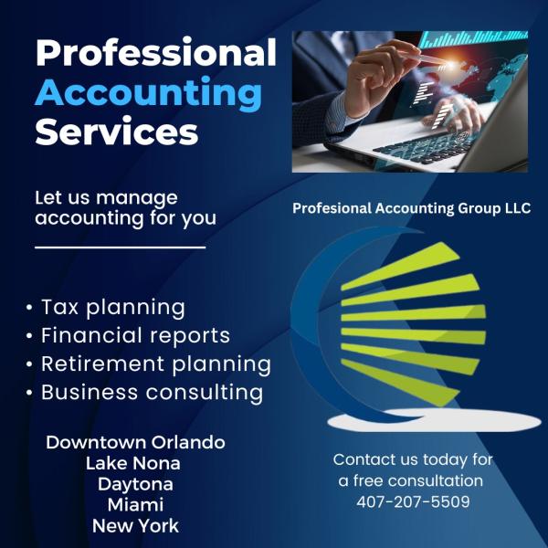 Professional Accounting Group