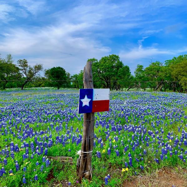 Bluebonnet Tax Services