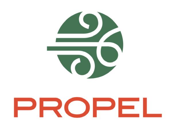 Propel Culture Consulting & Change Management