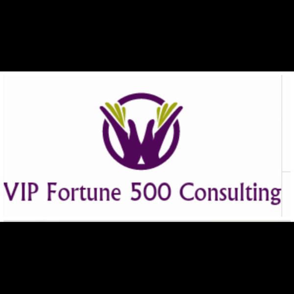 VIP Fortune 500 Consulting Firm