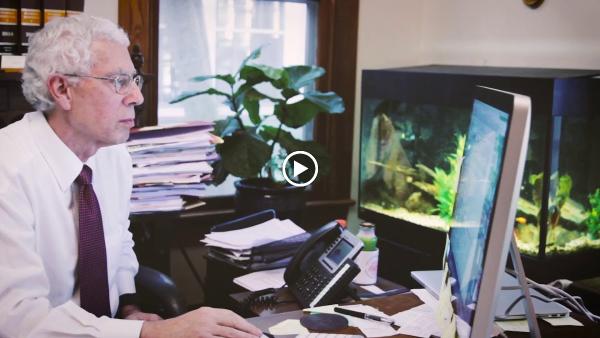 Fine, Farkash & Parlapiano