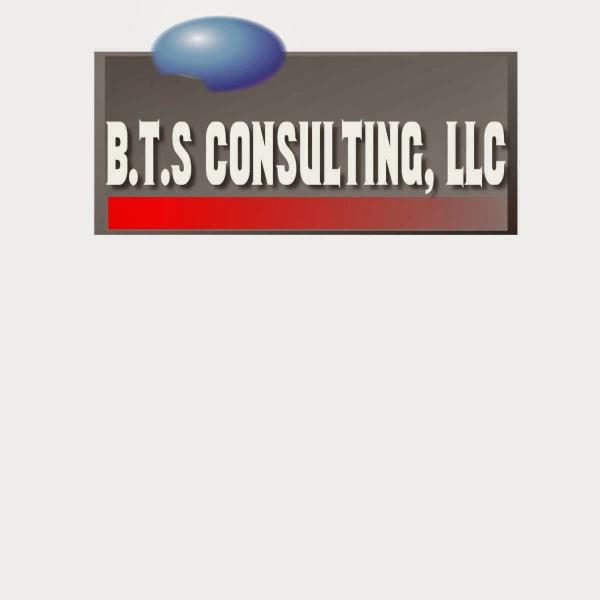 BTS Consulting