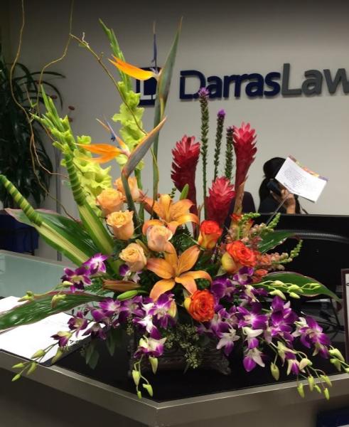 Darraslaw Disability Insurance Lawyers