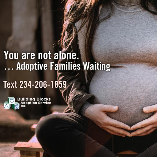 Building Blocks Adoption Services